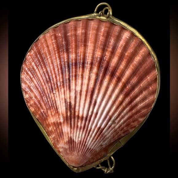 New Two’s Company Real Sea Shell Sunset Colors Ring Holder Pill Box Trinket - Picture 6 of 7